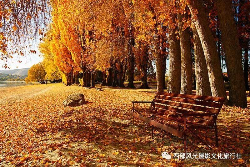 要被“冻”哭了新乡继续发布低温蓝色预警信号
